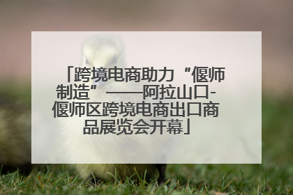 跨境电商助力“偃师制造”——阿拉山口-偃师区跨境电商出口商品展览会开幕