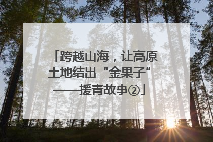 跨越山海，让高原土地结出“金果子”——援青故事②