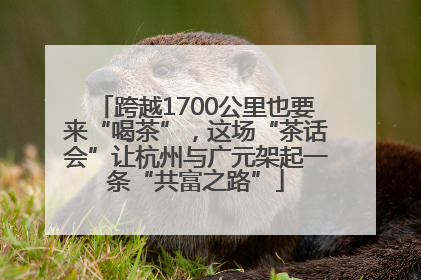 跨越1700公里也要来“喝茶”，这场“茶话会”让杭州与广元架起一条“共富之路”