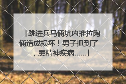 跳进兵马俑坑内推拉陶俑造成损坏！男子抓到了，患精神疾病……