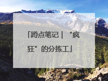 蹲点笔记｜“疯狂”的分拣工
