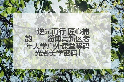 逆光而行 匠心捕韵——淄博高新区老年大学户外课堂解码光影美学密码