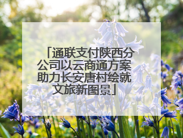 通联支付陕西分公司以云商通方案助力长安唐村绘就文旅新图景