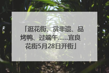 逛花街、赏非遗、品烤鸭、过端午……宜良花街5月28日开街