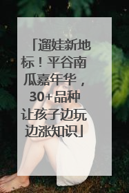 遛娃新地标！平谷南瓜嘉年华，30+品种让孩子边玩边涨知识