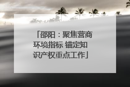邵阳：聚焦营商环境指标 锚定知识产权重点工作