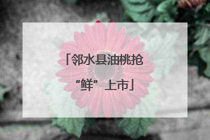 邻水县油桃抢“鲜”上市