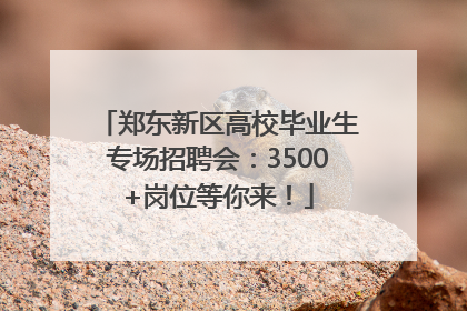 郑东新区高校毕业生专场招聘会：3500+岗位等你来！