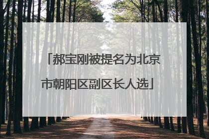 郝宝刚被提名为北京市朝阳区副区长人选