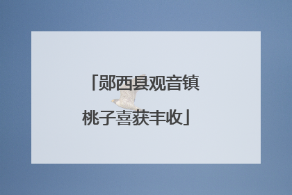 郧西县观音镇桃子喜获丰收