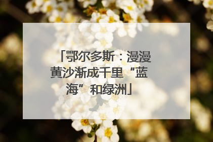 鄂尔多斯：漫漫黄沙渐成千里“蓝海”和绿洲