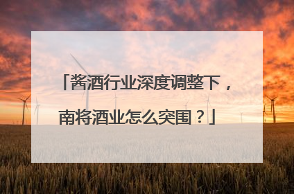 酱酒行业深度调整下，南将酒业怎么突围？