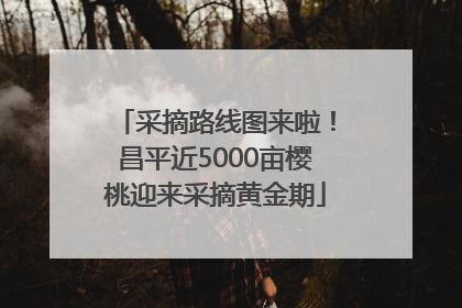 采摘路线图来啦！昌平近5000亩樱桃迎来采摘黄金期