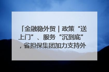 金融稳外贸｜政策“送上门”、服务“沉到底”，省担保集团加力支持外经贸高质量发展