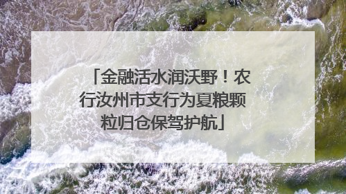 金融活水润沃野！农行汝州市支行为夏粮颗粒归仓保驾护航