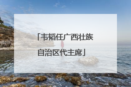 韦韬任广西壮族自治区代主席