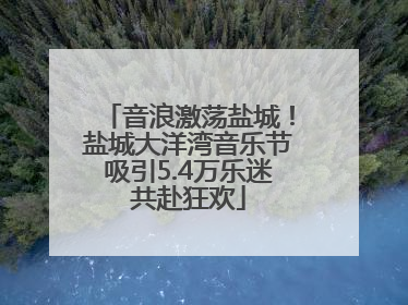 音浪激荡盐城！盐城大洋湾音乐节吸引5.4万乐迷共赴狂欢