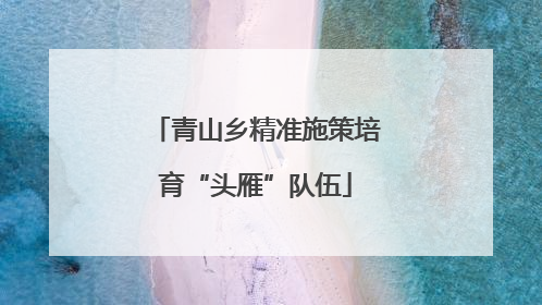 青山乡精准施策培育“头雁”队伍