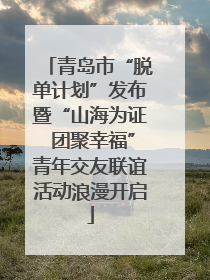 青岛市“脱单计划”发布暨“山海为证 团聚幸福”青年交友联谊活动浪漫开启