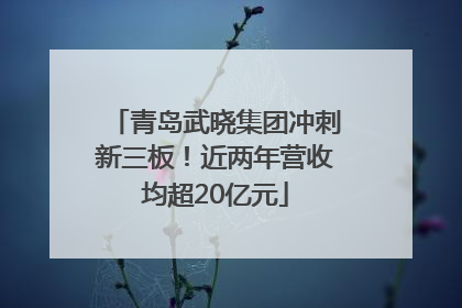 青岛武晓集团冲刺新三板！近两年营收均超20亿元