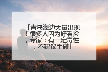 青岛海边大量出现！很多人因为好看捡，专家：有一定毒性，不建议手碰