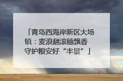 青岛西海岸新区大场镇：麦浪翻滚穗飘香 守护粮安好“丰景”