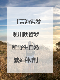 青海省发现川陕哲罗鲑野生自然繁殖种群