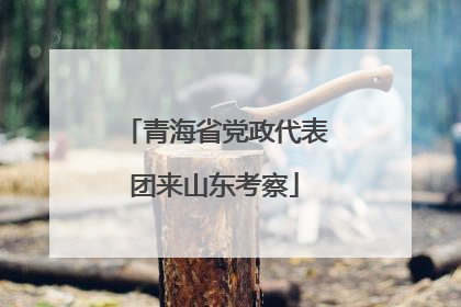 青海省党政代表团来山东考察
