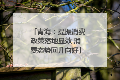 青海：提振消费政策落地显效 消费态势回升向好