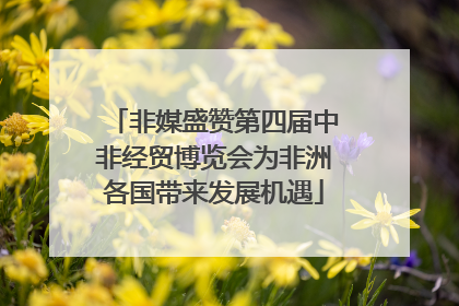非媒盛赞第四届中非经贸博览会为非洲各国带来发展机遇