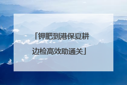 钾肥到港保夏耕 边检高效助通关