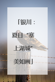 银川：夏日“塞上湖城”美如画