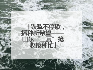 铁犁不停歇，播种新希望——山东“三夏”抢收抢种忙