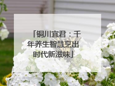 铜川宜君：千年养生智慧烹出时代新滋味