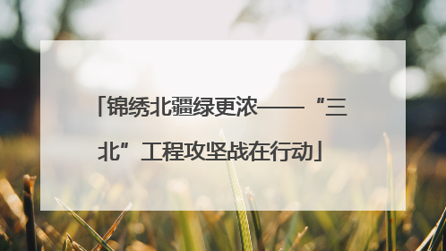 锦绣北疆绿更浓——“三北”工程攻坚战在行动