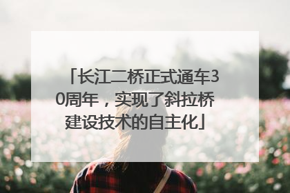 长江二桥正式通车30周年，实现了斜拉桥建设技术的自主化