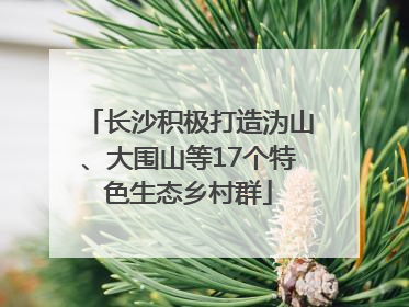 长沙积极打造沩山、大围山等17个特色生态乡村群