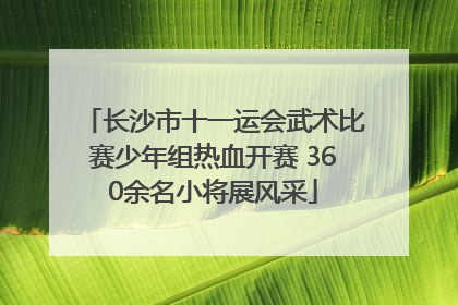 长沙市十一运会武术比赛少年组热血开赛 360余名小将展风采