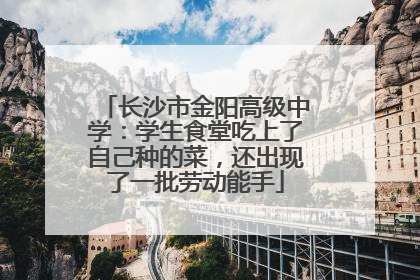 长沙市金阳高级中学：学生食堂吃上了自己种的菜，还出现了一批劳动能手
