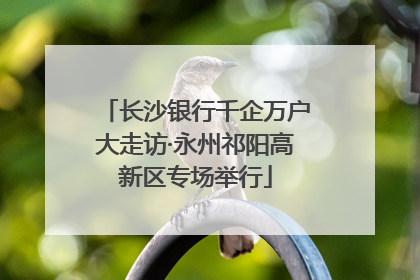 长沙银行千企万户大走访·永州祁阳高新区专场举行