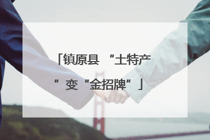 镇原县 “土特产”变“金招牌”