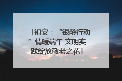 镇安：“银龄行动”情暖端午 文明实践绽放敬老之花