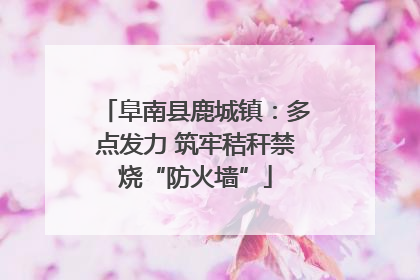 阜南县鹿城镇：多点发力 筑牢秸秆禁烧“防火墙”