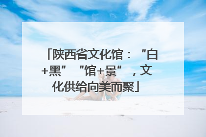 陕西省文化馆：“白+黑”“馆+景”，文化供给向美而聚