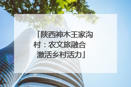 陕西神木王家沟村：农文旅融合 激活乡村活力