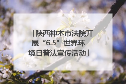 陕西神木市法院开展“6.5”世界环境日普法宣传活动