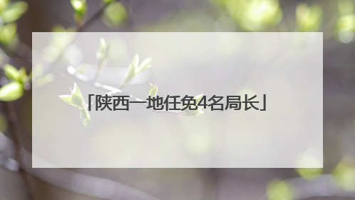 陕西一地任免4名局长