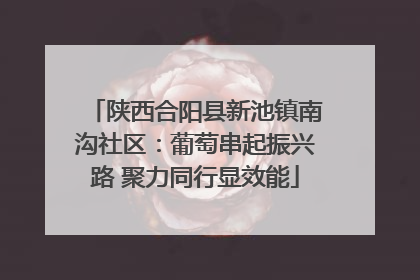陕西合阳县新池镇南沟社区：葡萄串起振兴路 聚力同行显效能