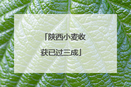 陕西小麦收获已过三成