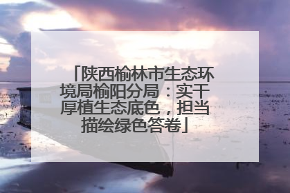 陕西榆林市生态环境局榆阳分局：实干厚植生态底色，担当描绘绿色答卷